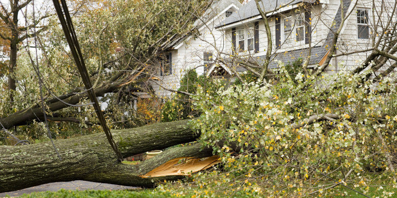 Storm Damage in Garland, Texas