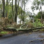 Hurricane Damage Repair in Garland, Texas