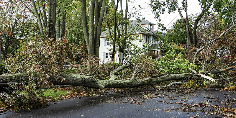 Hurricane Damage Repair in Garland, Texas