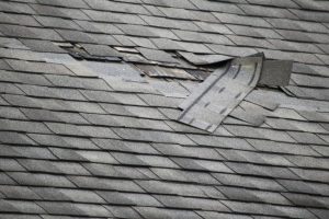 Three Common Reasons to Schedule Roof Repair Services