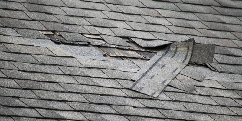 Three Common Reasons to Schedule Roof Repair Services